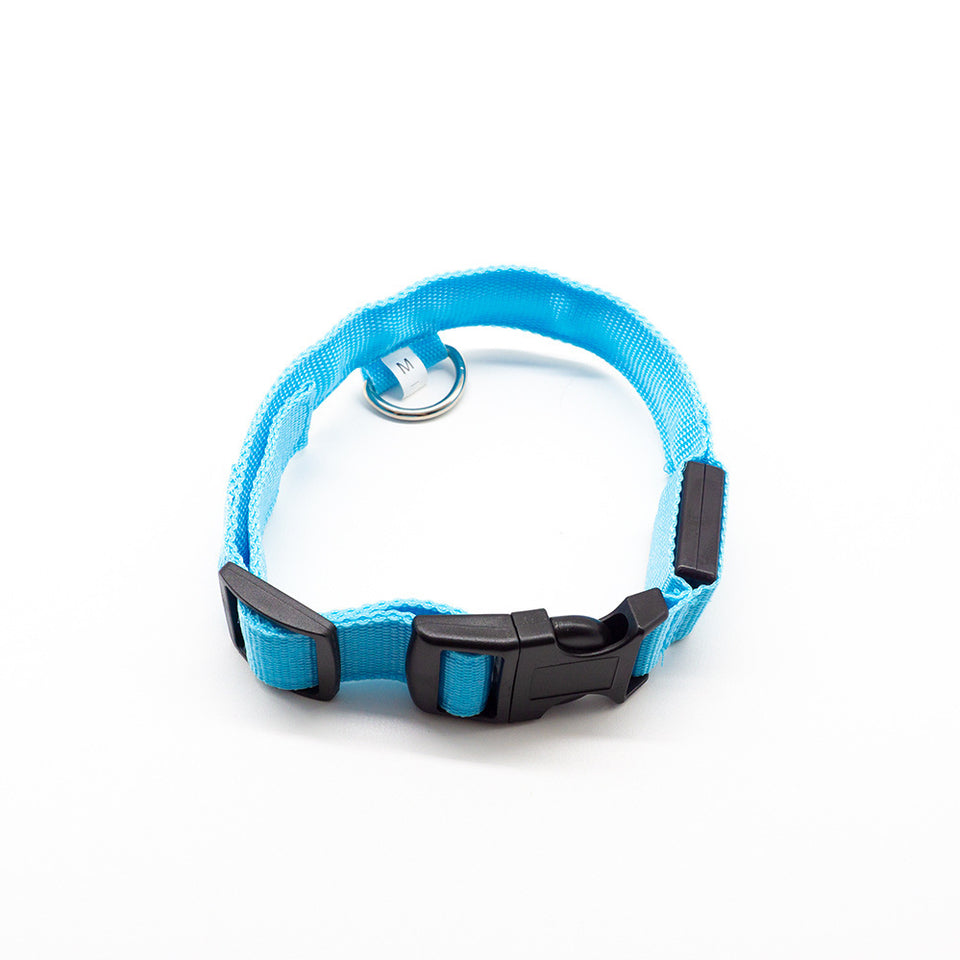 LED Dog Collar – Recharge, Shine, Repeat