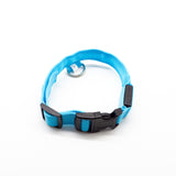 LED Dog Collar – Recharge, Shine, Repeat