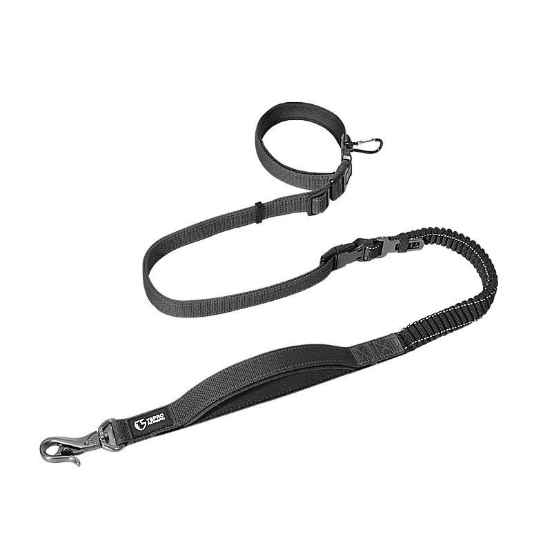 Durable Dog Leash for Running, Walking, and Travel