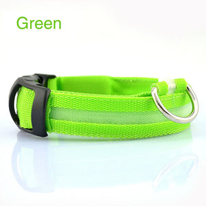 GlowSafe LED Dog Collar – Night Walks Made Bright