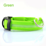 GlowSafe LED Dog Collar – Night Walks Made Bright