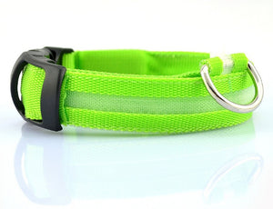 LED Safety Collar for Dogs – Stay Visible