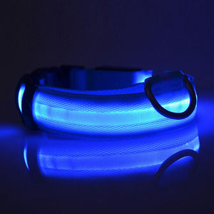 GlowSafe LED Dog Collar – Night Walks Made Bright