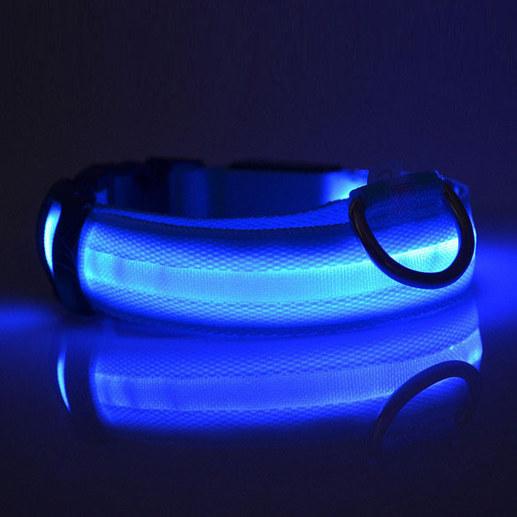 GlowSafe LED Dog Collar – Night Walks Made Bright