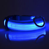 GlowSafe LED Dog Collar – Night Walks Made Bright