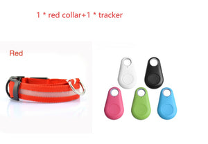 GlowSafe LED Dog Collar – Night Walks Made Bright