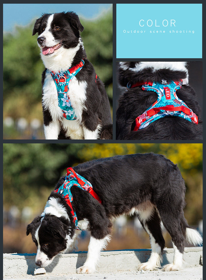Durable Dog Leash and Vest Combo for Safe Walks