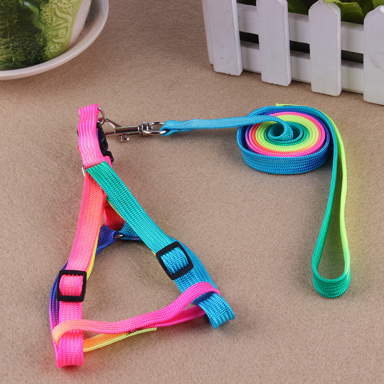 Vibrant Dog Leashes to Make Walks Fun