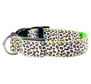 Adjustable LED Dog Collar – Bright and Fashionable