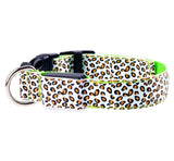 Adjustable LED Dog Collar – Bright and Fashionable