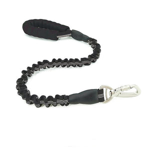Durable Explosion-Proof Leash for Active Dogs