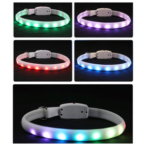 Flashing LED Pet Collar – Keep Pets Safe Outdoors