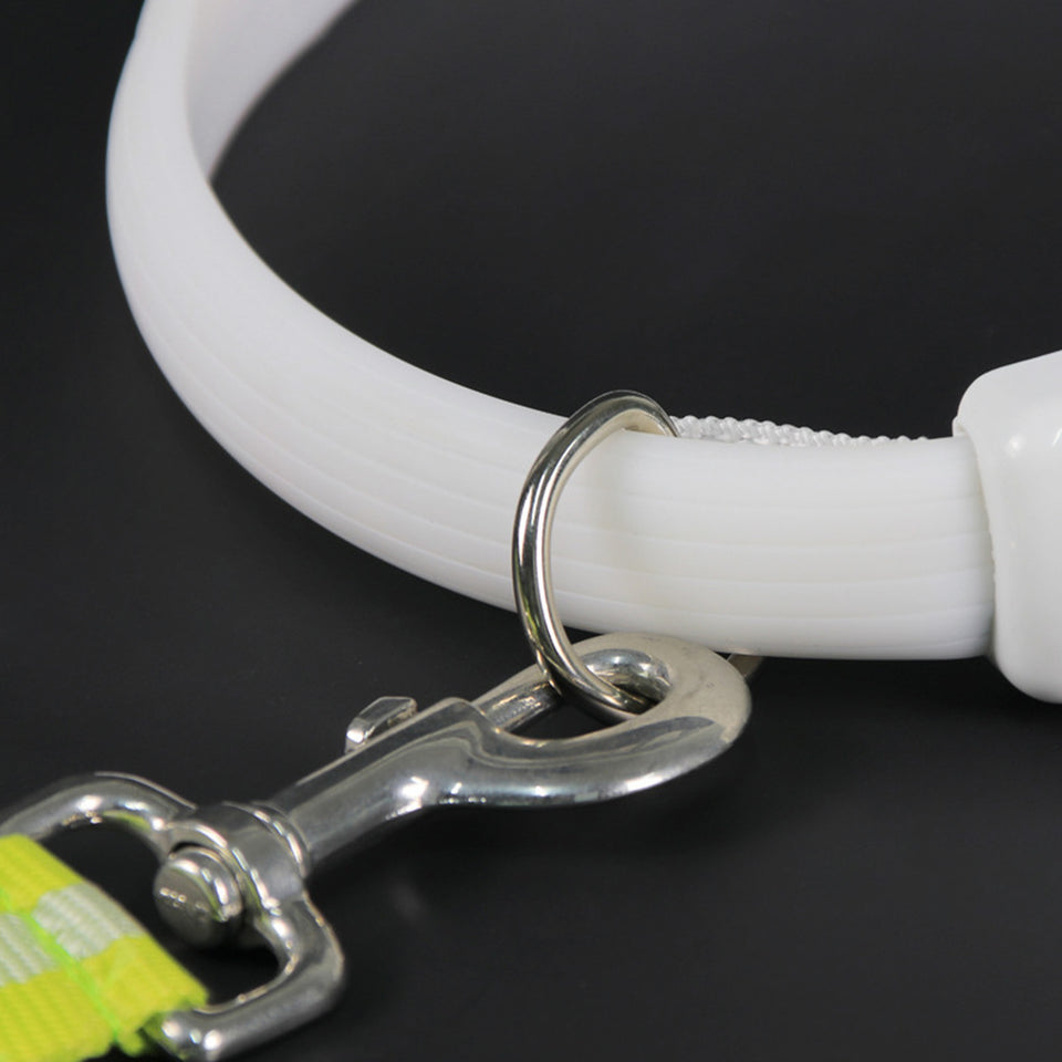 Flashing LED Pet Collar – Keep Pets Safe Outdoors