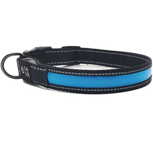 USB Rechargeable LED Dog Collar – Reflective Stripe Design
