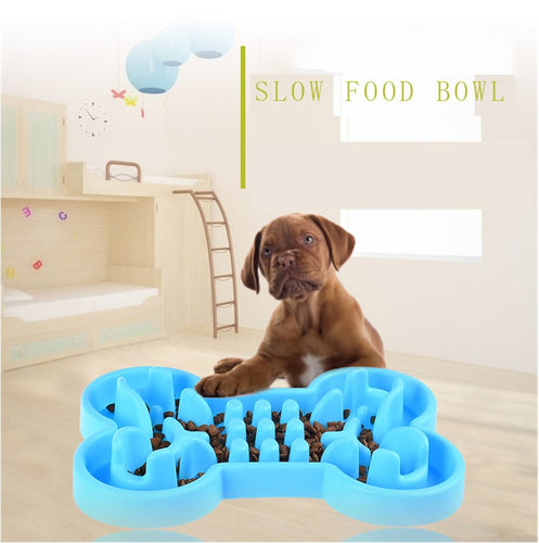 Slow Feeder Travel Bowl – Healthy Eating for Dogs