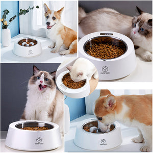 Weighing Pet Bowl – Slow Feeding Made Easy