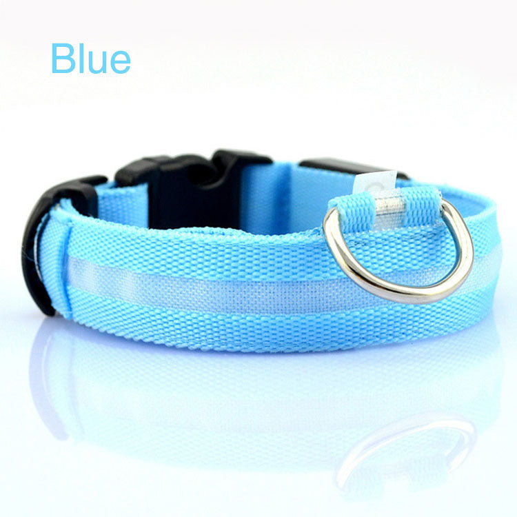 GlowSafe LED Dog Collar – Night Walks Made Bright