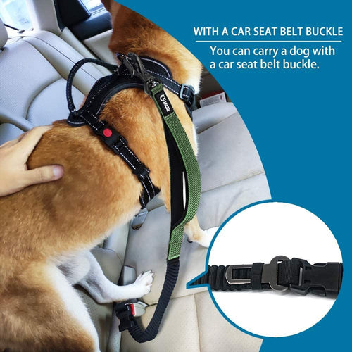 Durable Dog Leash for Running, Walking, and Travel