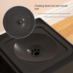 Elevated Dog Bowls – Comfortable, Hands-Free Feeding for Pets