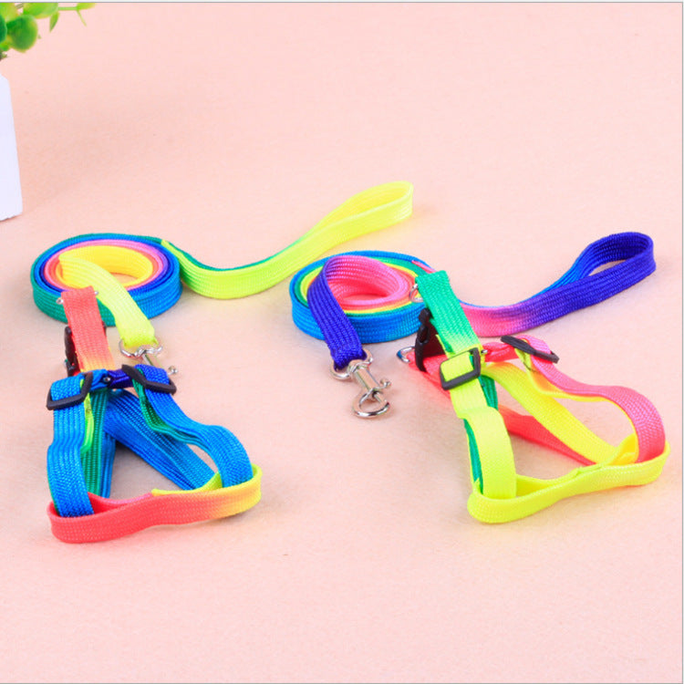 Vibrant Dog Leashes to Make Walks Fun
