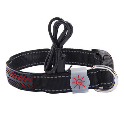 BrightTail LED Collar – Be Seen, Stay Safe