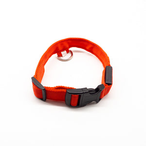 LED Dog Collar – Recharge, Shine, Repeat