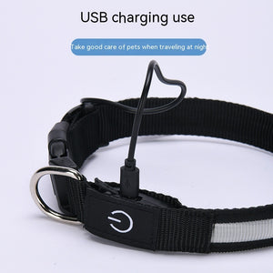 USB LED Dog Collar – Rechargeable Luminous Nylon Collar