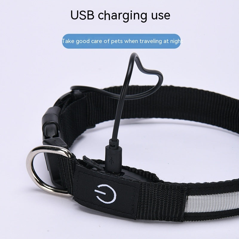 USB LED Dog Collar – Rechargeable Luminous Nylon Collar