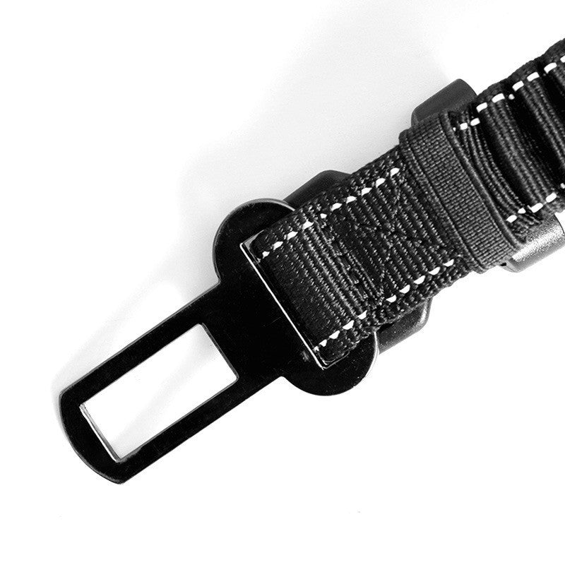 Durable Dog Leash for Running, Walking, and Travel