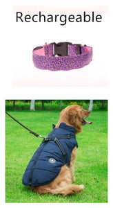 Adjustable LED Dog Collar – Bright and Fashionable