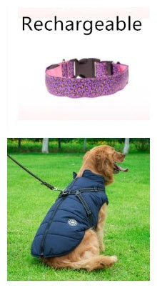 Adjustable LED Dog Collar – Bright and Fashionable