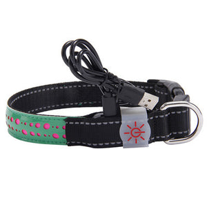 BrightTail LED Collar – Be Seen, Stay Safe