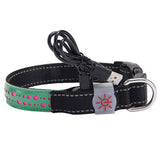 BrightTail LED Collar – Be Seen, Stay Safe