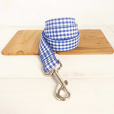 Blue Dog Leash for Stylish and Safe Walks