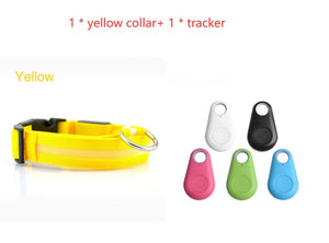 GlowSafe LED Dog Collar – Night Walks Made Bright