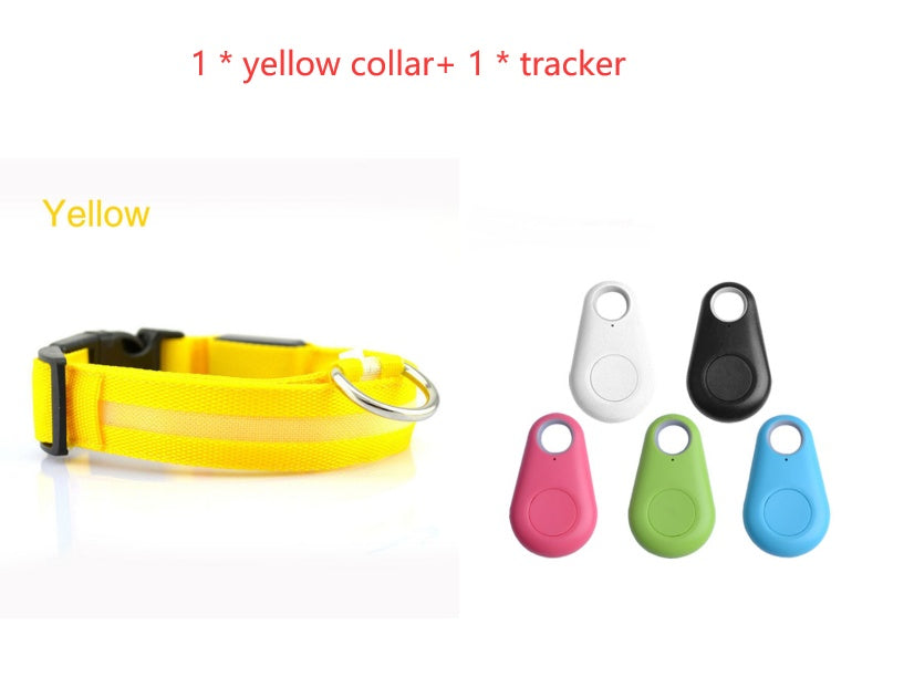 GlowSafe LED Dog Collar – Night Walks Made Bright