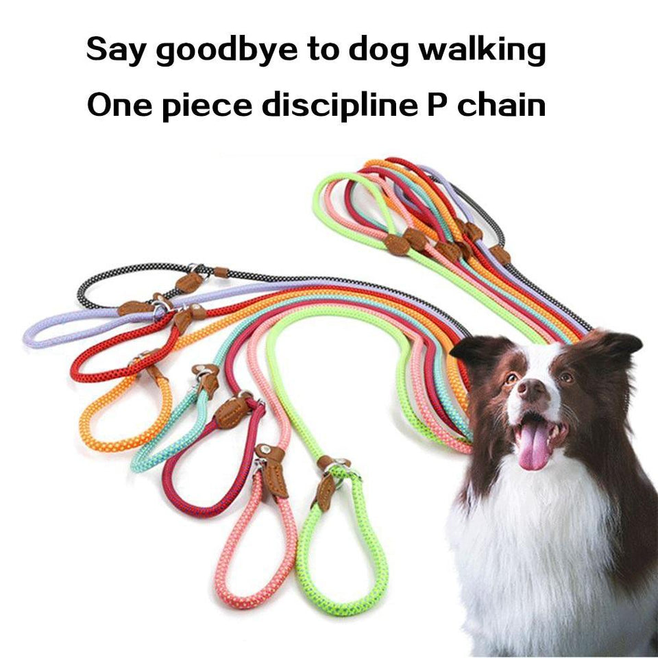 Strong P-Type Dog Collar with Reliable Leash