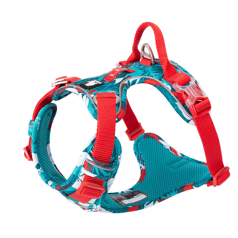Durable Dog Leash and Vest Combo for Safe Walks
