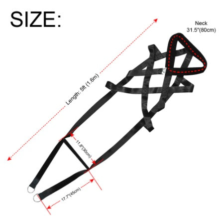 Dog Training Leash and Chest Strap for Better Control