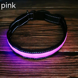 USB Rechargeable LED Dog Collar – Reflective Stripe Design