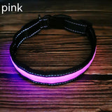 USB Rechargeable LED Dog Collar – Reflective Stripe Design