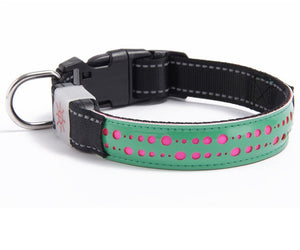 BrightTail LED Collar – Be Seen, Stay Safe
