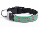 BrightTail LED Collar – Be Seen, Stay Safe