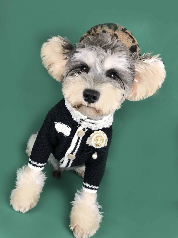 Adorable Pomeranian & Schnauzer Cardigan – Spring Pet Outfit