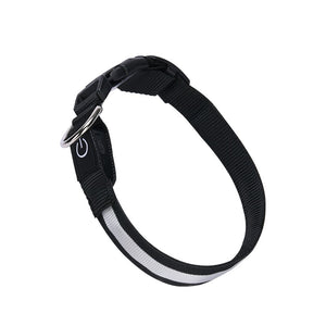 USB LED Dog Collar – Rechargeable Luminous Nylon Collar