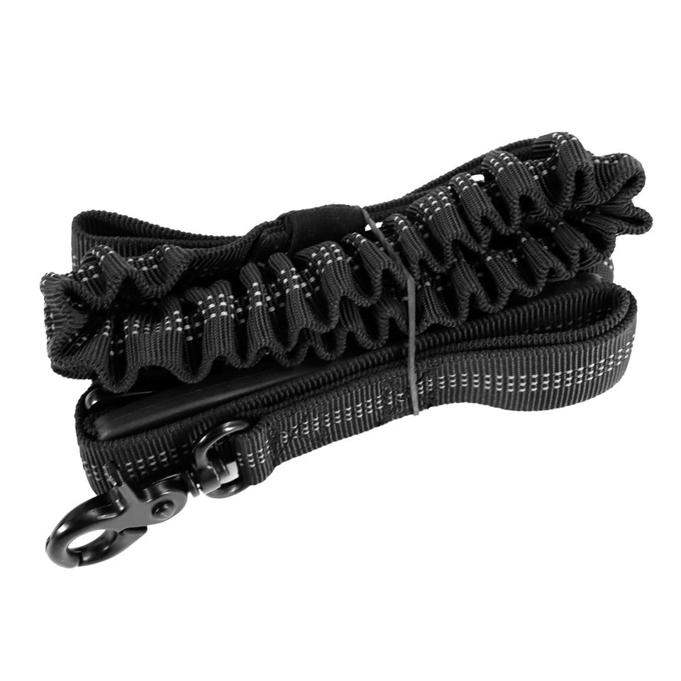 Strong Bungee Dog Leash for Large and Medium Dogs