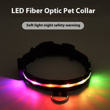 Colorful LED Dog Collar – Fun & Visible Walks