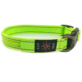 USB Rechargeable LED Dog Collar – Reflective Stripe Design