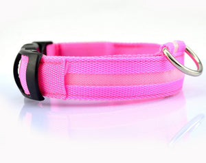 LED Safety Collar for Dogs – Stay Visible