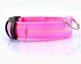 LED Safety Collar for Dogs – Stay Visible